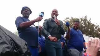 DA to march to Gupta Saxonwold compound– Rosebank Killarney Gazette