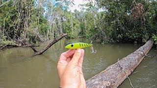 A ISCA DOS MONSTROS - BIRUTA TURBO. Pescaria!!!