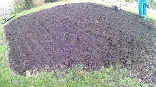 Preparing Vegetable Patch For Brassicas (Cabbages)