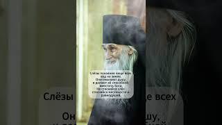  «Плач спасает душу» | Старец Илий #библия #божья #милост