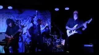 Ally the Fiddle "The Crumbling Autumn", live