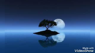Sleep in 4 minutes with this Peaceful Classical Raga. #sleep