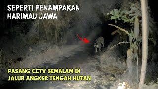 PASANG CCTV DI JALAN ANGKER MALAH REKAM HARIMAU JAWA | CCTV HOROR 32