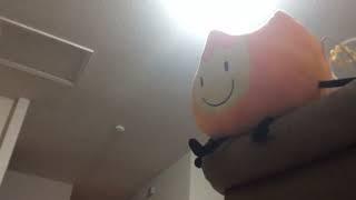 My Firey Plush (Made By @BFDI ) (55 subs special)