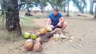 Coconut opening by Jan in Arkadia Eco Resort Underground River in Sabang Palawan Philipines