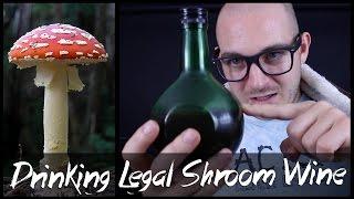 Drinking Amanita Muscaria Mushrooms