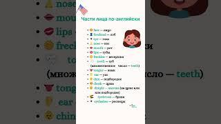 Части лица по английски