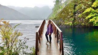 Our First Time in Washington! | Twilight's Forks, La Push, Olympic National Park