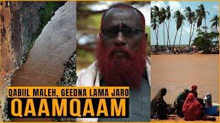 QAAMQAAM - MAXAY KU DIIDAY QABYAALADDA & GEED JARIDDA?