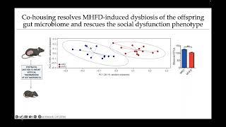 Therapeutic Targeting of the Microbiome for Neurodevelopmental Disorders