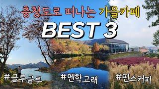 [가을카페 BEST3] 충청도로 떠나는 가을 내돈내산 추천 카페