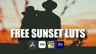 Free SUNSET COLOR CHANGER Luts | How To Use Luts In Adobe Premiere Pro