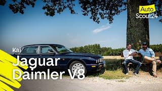 Jaguar Daimler V8: Alles andere als ein Straßenkater.