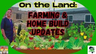 We’re Farming on Africaba's Land! #ghana #movingtoghana #buildinginghana #africandiaspora #travel