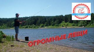 ШОК! Огромные лещи. Щука на пенопласт.