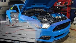 1300+ HP DYNO Pulls with the 7 Sec Mustang's New Motor!