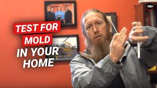 How To Test For Mold In Your Home | Best DIY Mold Test Kit to Use | Mold Testing