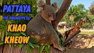  Зоопарк Кхао Кхео Паттайя Таиланд  Паттайя экскурсии Зоопарк Khao Kheow Zoo