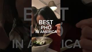 I flew 1500 miles to try the *BEST* phở in America…