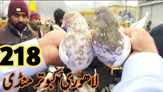 218 ) lari ada kabootar mandi || lahore big birds market || کبوتر منڈی | @amjadaliofficial528