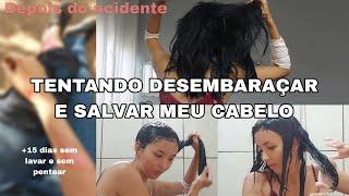 Como consegui desembaraçar meu cabelo depois de 15 dias sem lavar 