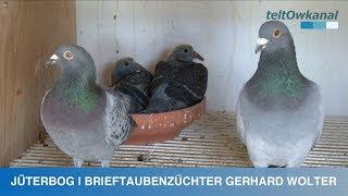 JÜTERBOG | BRIEFTAUBENZÜCHTER GERHARD WOLTER