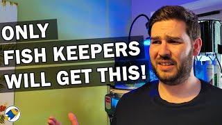 Things Fish Keepers Do!  - MR BRIGHTFRYED