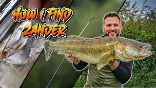 Fish the TIP to find Zander - #zander #zanderfishing #deadbaiting