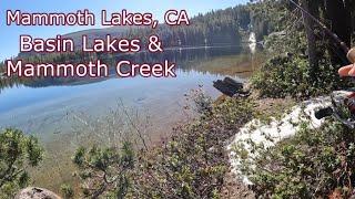 Mammoth Lakes Basin Lakes Fishing & Mammoth Creek