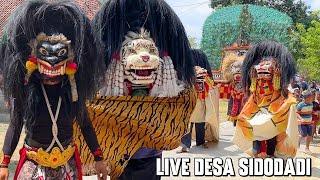 TERBARU !! Arak Arakan Barongan Blora dan Reog Ponorogo Seni Barong SINGO KUBRO Live Desa Sidodadi