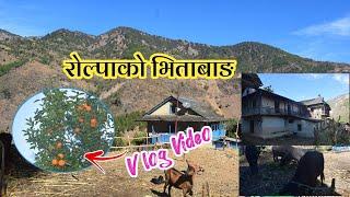 Organic video||Rolpa bhitabang || vlog2023