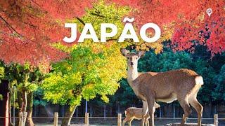 15 lugares surpreendentes para visitar no Japão 