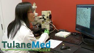 Tulane Med Insider: Qiuyang Zhang, PhD