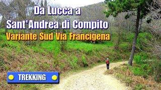 TREKKING: Da Lucca a Sant'Andrea di Compito - Variante Sud Via Francigena - di Sergio Colombini