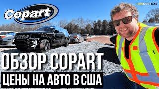 Обзор Битков в США | Цены на Авто в 2025 | Аукцион Copart | Доставка по всему Миру