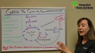 GABA - The Calming Neurotransmitter