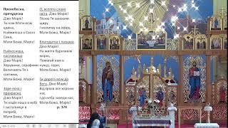 August 14  2024  10 AM Divine Liturgy