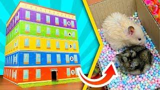 Carton maze for hamsters in a form of 5-story building  | DIY