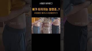 과배란 배주사를 시작하고 점점 커져가는 배 크기 #시험관브이로그 #40대시험관 #과배란주사