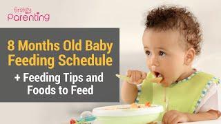 8 Month Old Baby Feeding Schedule, Recipes And Tips