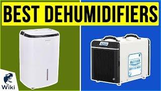 10 Best Dehumidifiers 2020