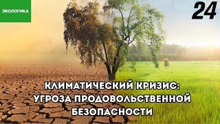 Климатический кризис представляет угрозу продовольственной безопасности | Экологика