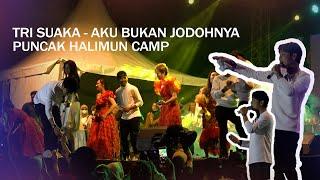 AKU BUKAN JODOHNYA-TRISUAKA ZIDAN ASYIIIK JOGET  || PULANG PRODUCTION ||