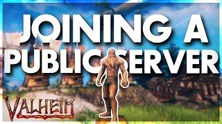 I Joined A Public Server In Valheim