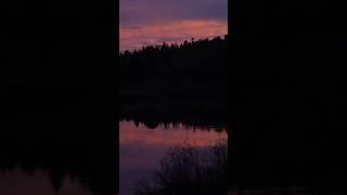 Algonquin Fishing Trip - Day Three #algonquinpark #algonquin #lake #fishing #outdoors #canoetrip