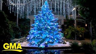 ‘GMA’ visits Longwood Gardens’ holiday display