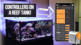 Aquarium Controllers - Are they Useful? Checking out my Apex Controller System