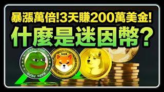 可以暴漲1000000%的「迷因幣」是什麼？一次帶你看懂｜全面解析迷因幣大起大落的背後邏輯｜#memecoin #迷因幣