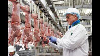 Rabbit meat processing in Factory - Rabbit Industry -Modern Rabbit Farming and Harvest Technology