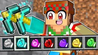 ¡Minecraft PERO hay PUÑOS PERSONALIZADOS!  SILVIOGAMER MINECRAFT PERO